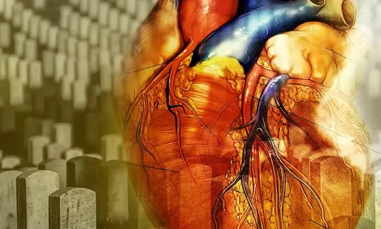 Muertes del corazón inexplicables, científicos buscan razones para esclarecer aumento